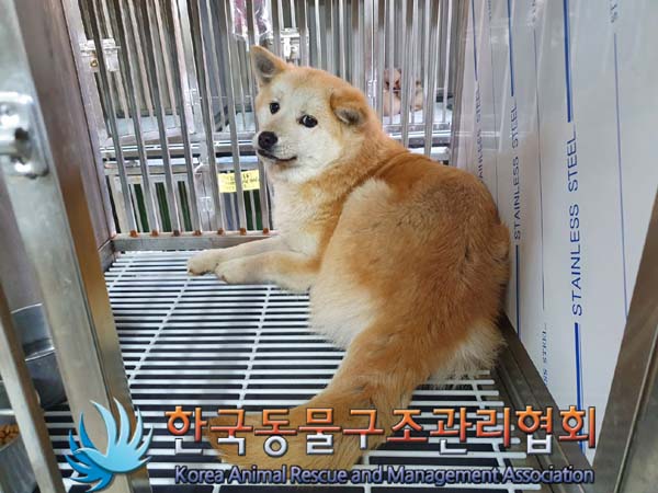 한국동물구조관리협회_441406202400144